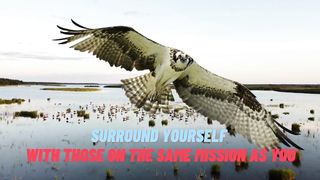 QUOTES about good association