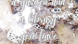 #Home_Gardening #gardening #Home_garden