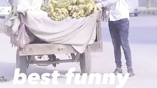 amazing funny 3