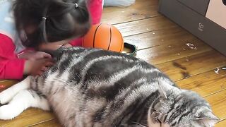If you don't want to take care of your child, just keep a cat. Even a tail can make children play for a long time.