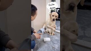 Mom always protect