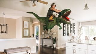 Dinosaurs Instead of Walked