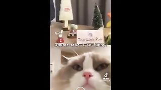 40 Min "That Little Puff" Tiktok Compilation 3