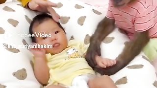 Kalo hewan begini siapa yang gak mau pelihara, yakann Sobaattt