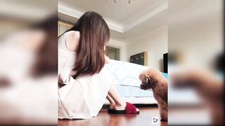 Funny and Cute animals Videos