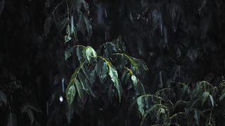I listened to the rain in nature