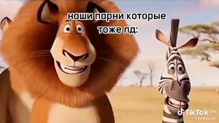 Мой лп