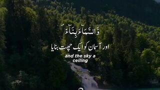 نیو سٹیٹس 2023 5