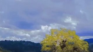 Pejuang hidup