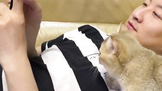 Just like his father, he loves to see beautiful women! Cat: Let me see what's wrong, don't be so double-standard!