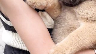 A dog who can act like a spoiled child is the best life