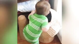 Baby and cats