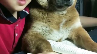The little girl hugs the dog and studies together. The dog: You see, I am tired of studying