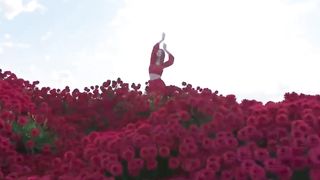 Chinese flower art