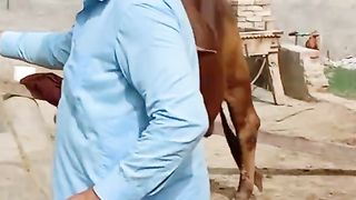 qurbani animal | karachi cow mandi |animals lovers | qurbani janwar 2023 2