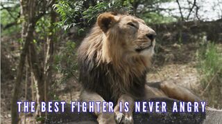 Motivation Angry