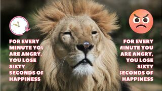 Using ANGER as motivation QUOTES