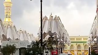 video 84