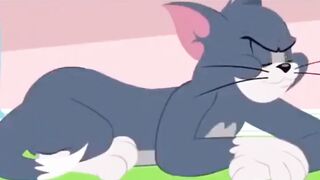Tom and Jerry cartoon 4