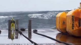 The depth of the sea was shocked by the scene before us