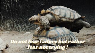 Motivational and Quotes