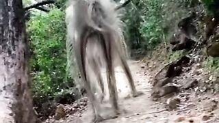 Ohaa çok ilginç????????new video 2023.mkv 10