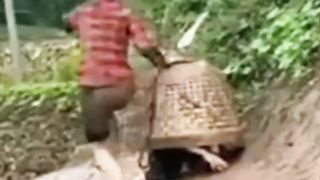 funny video 137