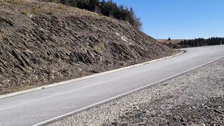 Golia