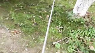 How could there be a dog barking so funny