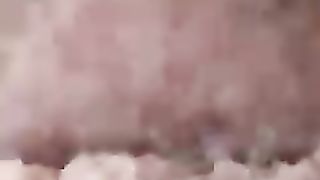 Thai  basil.  New video 2023mp4