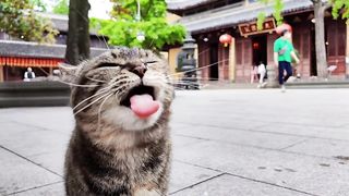 Super cute 2