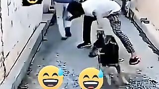 Funny video