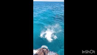 salto