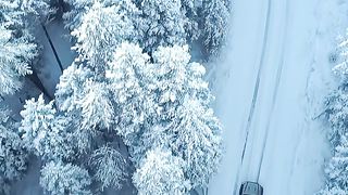 Snofall view