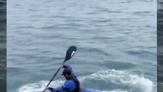 Pristel terkocak nih ????????