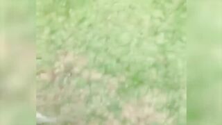 Pet Funny Video Mix Cut#Pet Funny Video Animal's confusing behavior Treat unhappiness