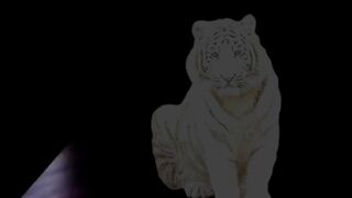 vidio penelusuran