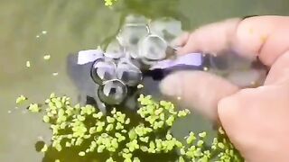 comedy videos full funny videos very good comedy videos full funny videos 3