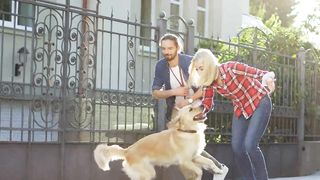 Cute dog 10