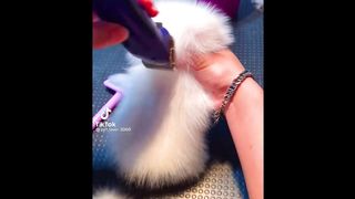 OMG Animals SOO Cute! AWW Cute baby animals Videos Compilation CUTEST moment of the animals #2