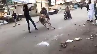 Cow Mandi ( Bakra Eid in pakistan )