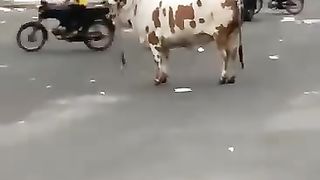 Ubaid Golden KI BACHRI UNLOAD KE BD BHAAG GAI