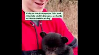 AWW Animals SOO Cute - Cute baby animals Videos Compilation cute moment of the animals #11
