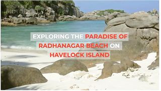 Exploring the Paradise of Radhanagar Beach on Havelock Island