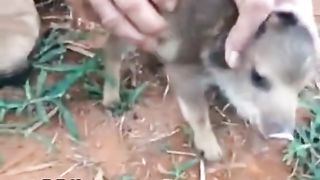 Nao mexe com quem ta quieto