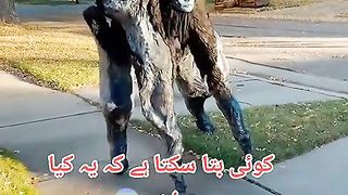 YOU NOW THAT IS THIS ANY ONE