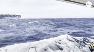 Terrifying moment killer whales attack boat sailing in ‘orca alley’