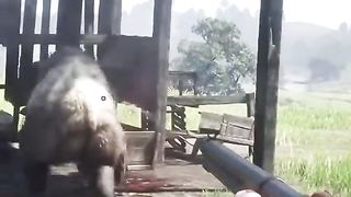 How many shots can a bear withstand?