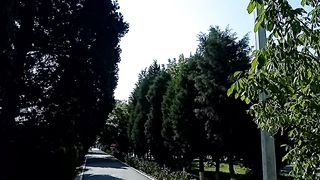 ДАВЛАТАБАДСКИЙ РАЙОН