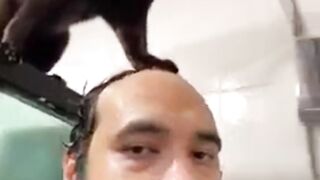 Funny Cats videos - Funny Cats / Dogs - Funny Animal videos